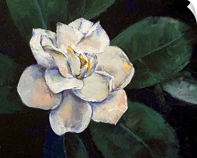 Gardenia Oil Painting