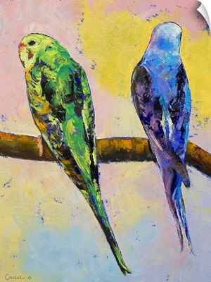 Green and Violet Budgies