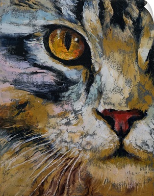 Maine Coon - Cat Portrait
