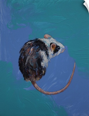 Mouse Study