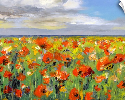 Poppy Field with Storm Clouds