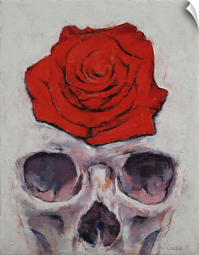 Shipwreck - Skull and Rose