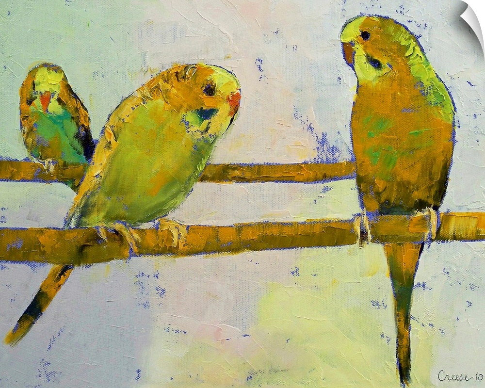 Original oil on canvas painting of three budgies on perches by American artist Michael Creese.