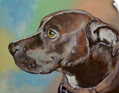 Tyson - Dog Portrait