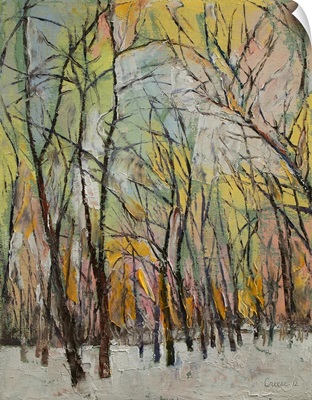 Winter Trees Landscape