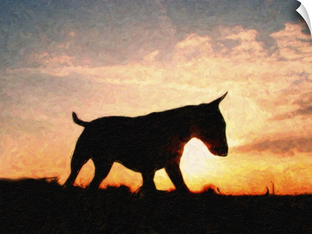 Oil paint style print of an English Bull Terrier silhouetted against a glorious sunset.