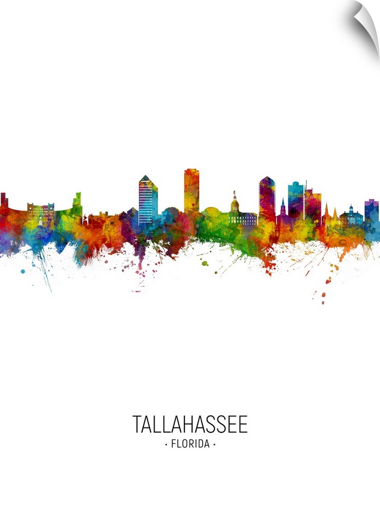 Tallahassee Florida Skyline