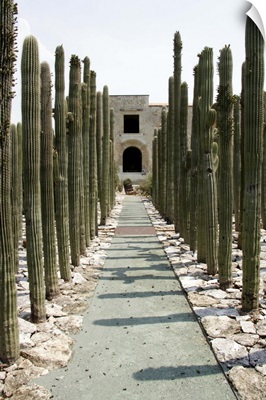 Jardin Etnobotanico del Centro Cultural Santo Domingo