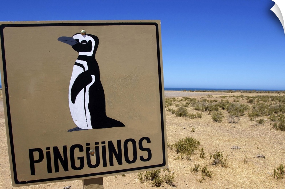 Chubut Province, Argentina.  Peninsula Valdes.
  Peninsula Valdes, Unesco World Heritage Site.  At the penguin colony nea...
