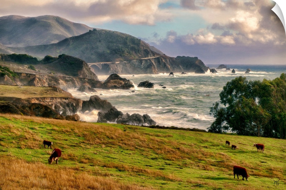 Cows graze just south of Rocky Point and north of the Rocky Creek Bridge in Big Sur. Acclaimed artist Michael Lynberg adds...