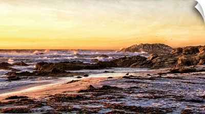 Bird Rock Sunset California Coast