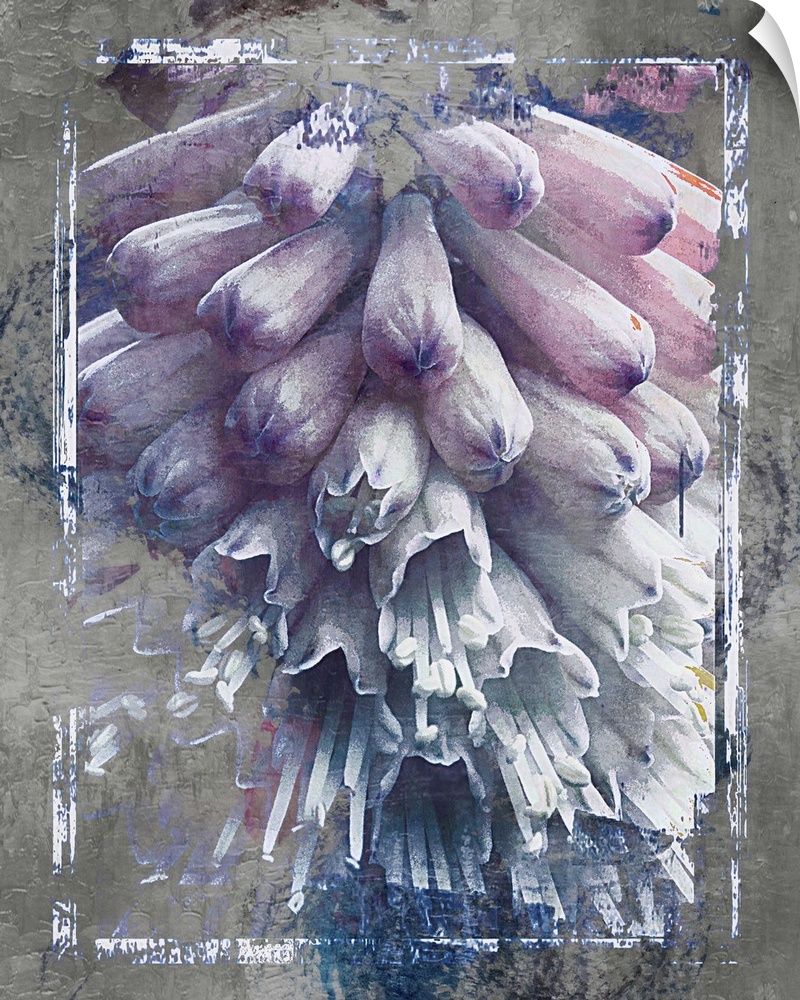 Artistic photograph of purple and white flowers against a grunge background.