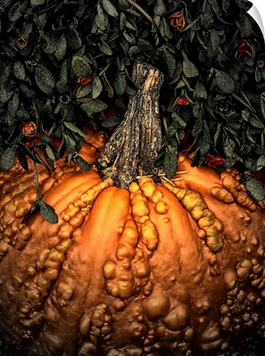 Autumn Pumpkin