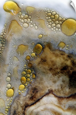 Brown and White Bubbles in Liquid