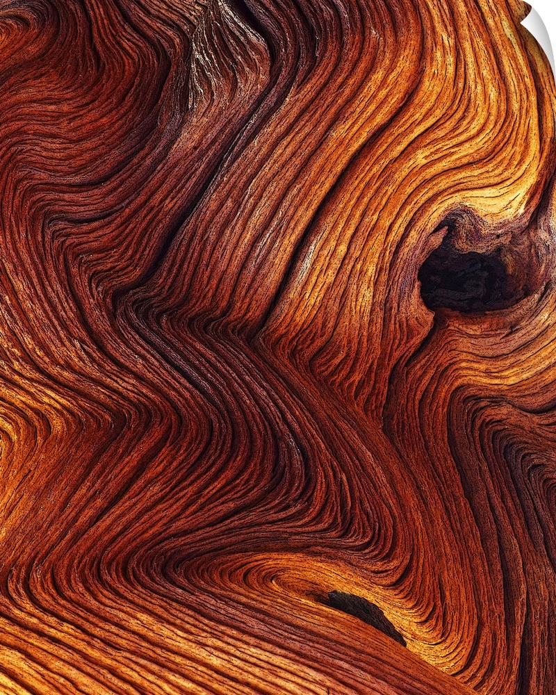 Up close photograph of decay with wavy striations and holes.
