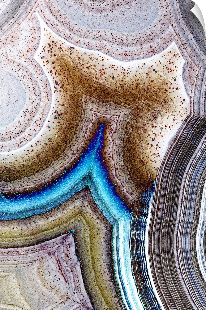 Vertical macro photograph of details of geological elements layering to create rings of texture similar to abstract artwork.