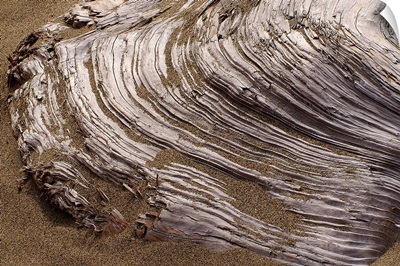 Hardened Lava Flow on Brown Sand
