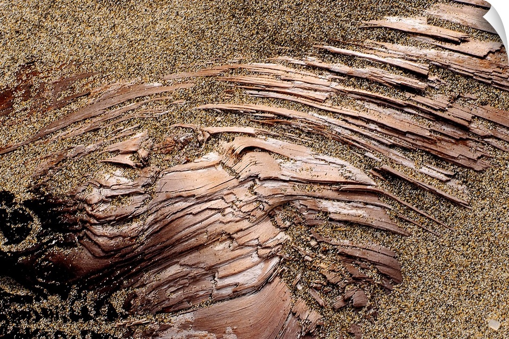 Photograph of dirt covering smooth copper-like rock.