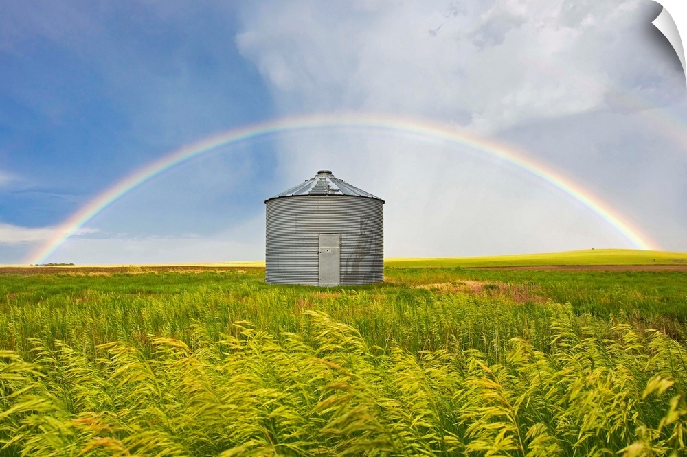 A rainbow over a grain silo and wheat field after a thunderstorm.
