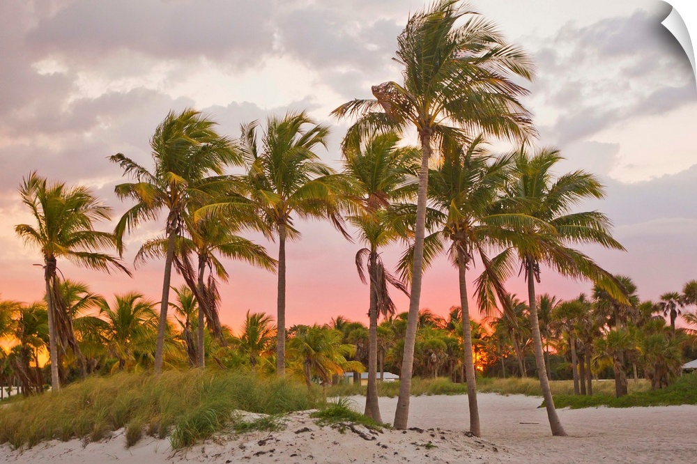 A red glowing sky backlights palm trees at sunset on the beach in Key Biscayne.
