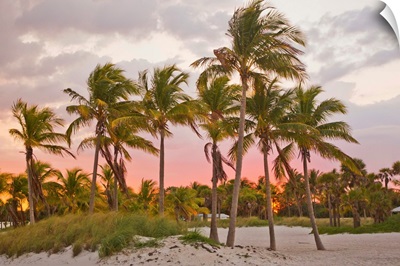 A red glowing sky backlights palm trees at sunset on the beach in Key Biscayne