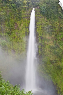 Scenic Akaka Waterall cascading over high forested cliffs on Hawaii