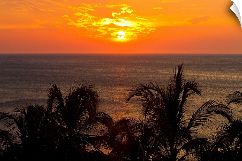 Sunset over the Caribbean Sea and silhouetted palm trees.
