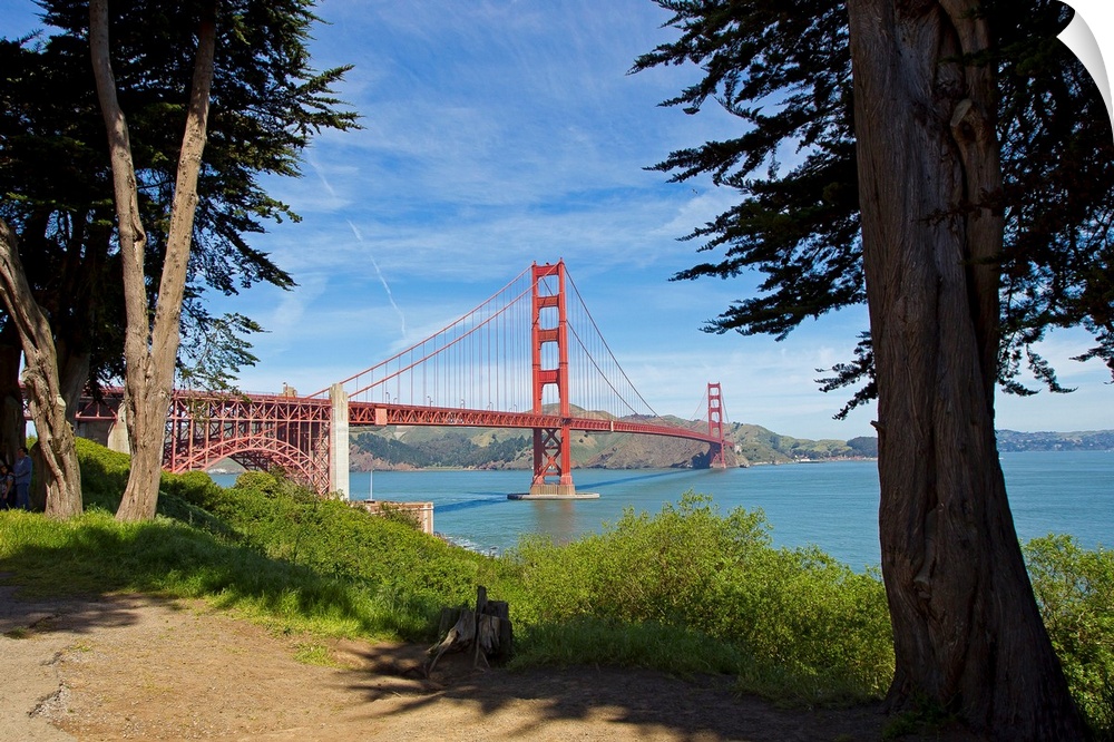 The Golden Gate Bridge viewed from a nearby park.