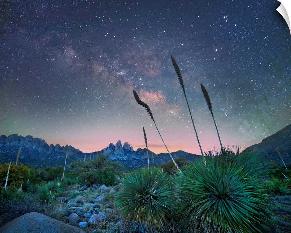 New Mexico, USA.