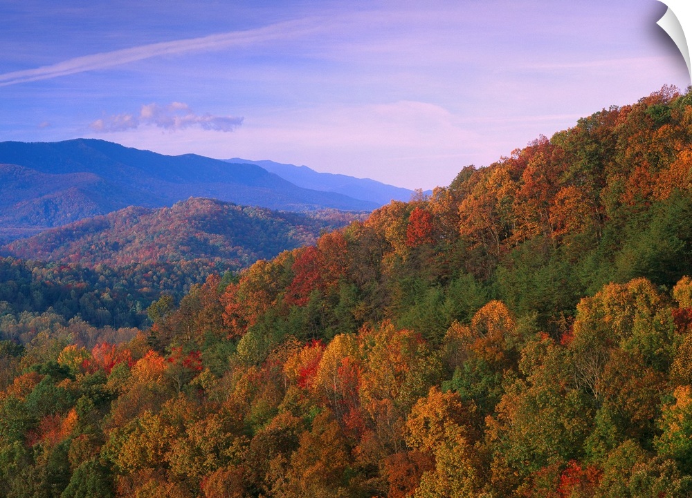 Appalachian Mountains ablaze with fall color, Great Smoky Mountains National Park