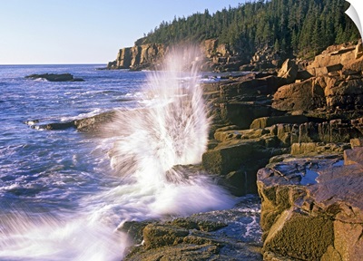 Atlantic Coast near Thunder Hole, Acadia National Park, Maine