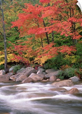 Autumn along Swift River White Mountains National Forest New Hampshire