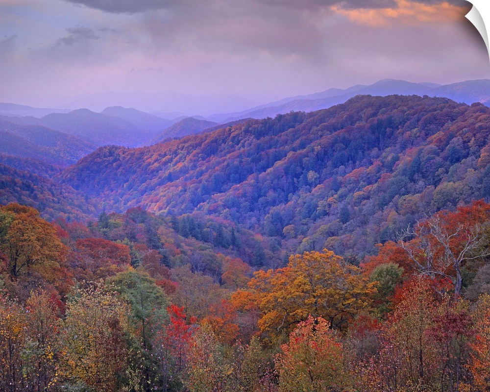 Photo on canvas of mountains covered in fall foliage.