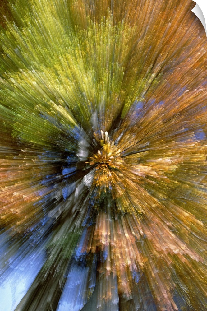Tall canvas of fall leaves overlaid with lines spreading out from the center in a circular direction.