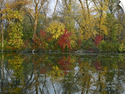 Autumn reflection on Marsh's Lake, Spruce Woods Provincial Park, Canada