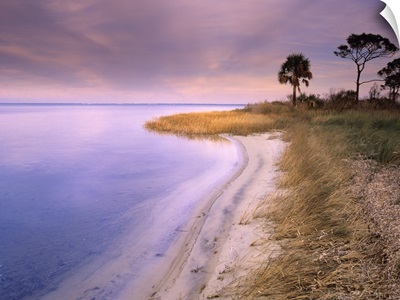 Beach along Saint Joseph's Bay, Florida