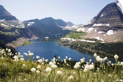 Bear Grass blooming with Hidden Lake and Bearhat Mountain, Montana