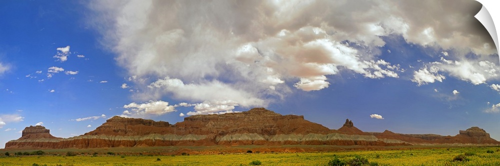 Big Wild Horse Mesa near Goblin Valley, Utah
