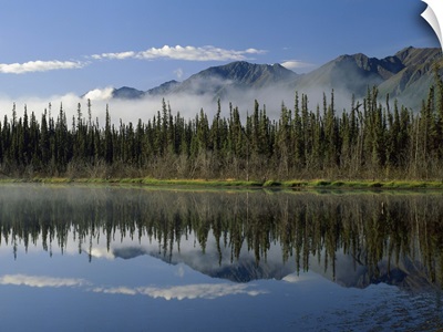 Boreal forest along lake edge, Nutzotin Mountains, Alaska