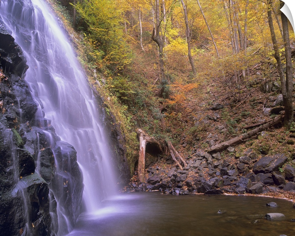 Rocky waterfall and creek in a grove of autumn-colored trees in the Southeastern United States.