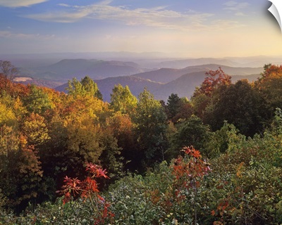 Deciduous forest in autumn, Blue Ridge Mountains from Doughton Park, North Carolina