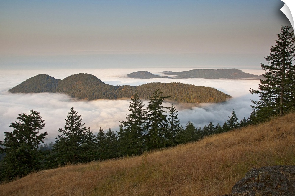 Entrance Mountain and Mount Woolard emerge from sea fog around Orcas Island as seen from Mt. Constitution (at 2,409-feet t...