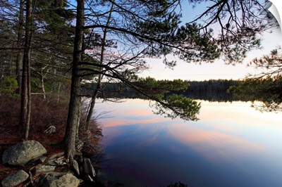 Forest along lake shore at sunset, Kejimkujik National Park, Nova Scotia, Canada