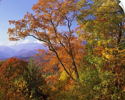 Great Smoky Mountains from, Blue Ridge Parkway, North Carolina