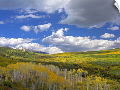 Gunnison National Forest in fall Colorado