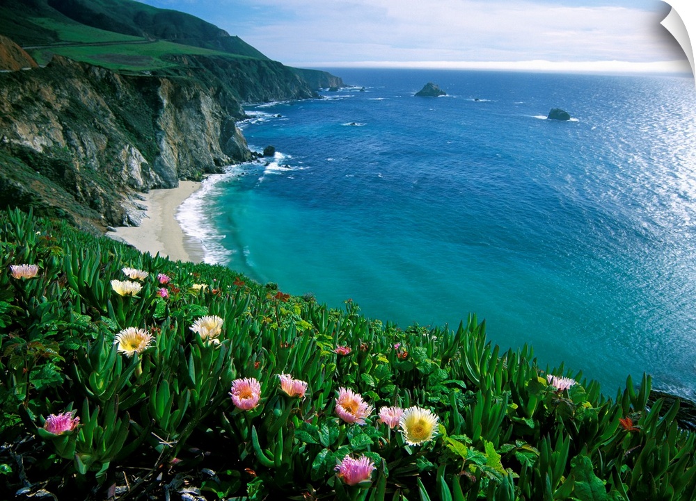 This wall art is a landscape photograph of wildflowers growing on a sea cliff overlooking a Pacific coast beach.