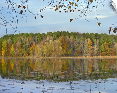 Lake Bailey, Petit Jean State Park, Arkansas