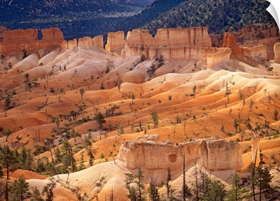 Landscape of eroded formations called hoodoos and fins, Bryce Canyon National Park, Utah