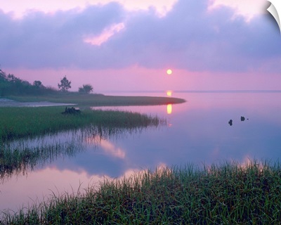 Marsh at sunrise over Eagle Bay, St Joseph Peninsula, Florida