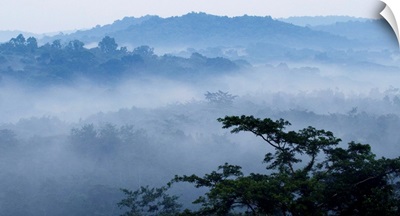 Mist over tropical rainforest, Kibale National Park, western Uganda